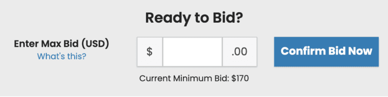 How to bid on an online auction