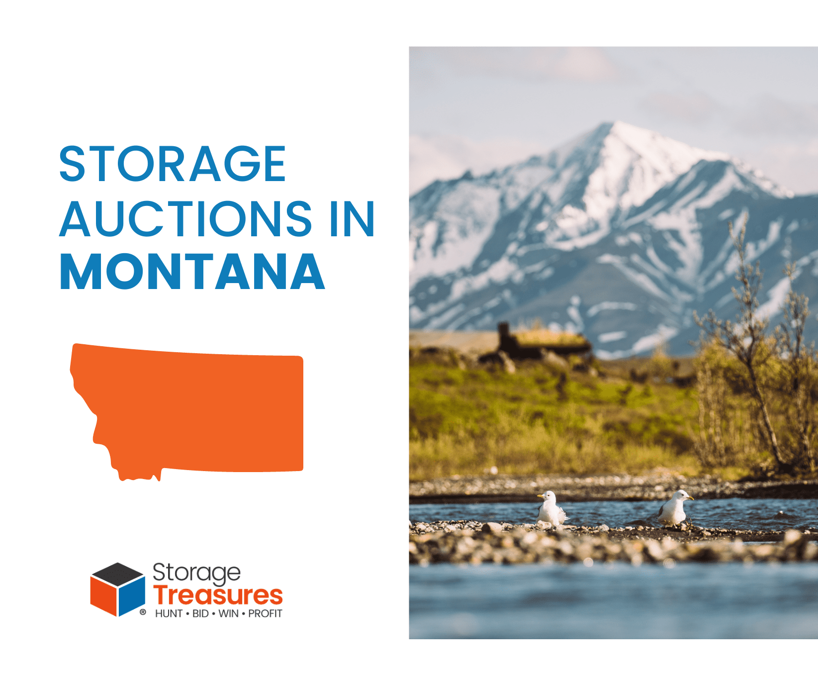 The Top-Selling Storage Auctions in Montana